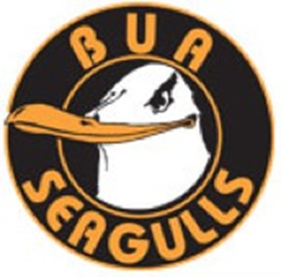 Logotyp för Bua IF Herr div 4 ungdom