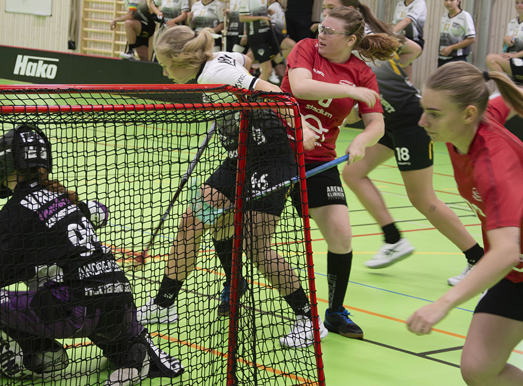 En stark höst av damlaget