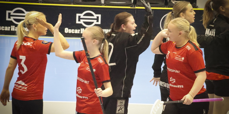 Vilken säsong damlaget har levererat!