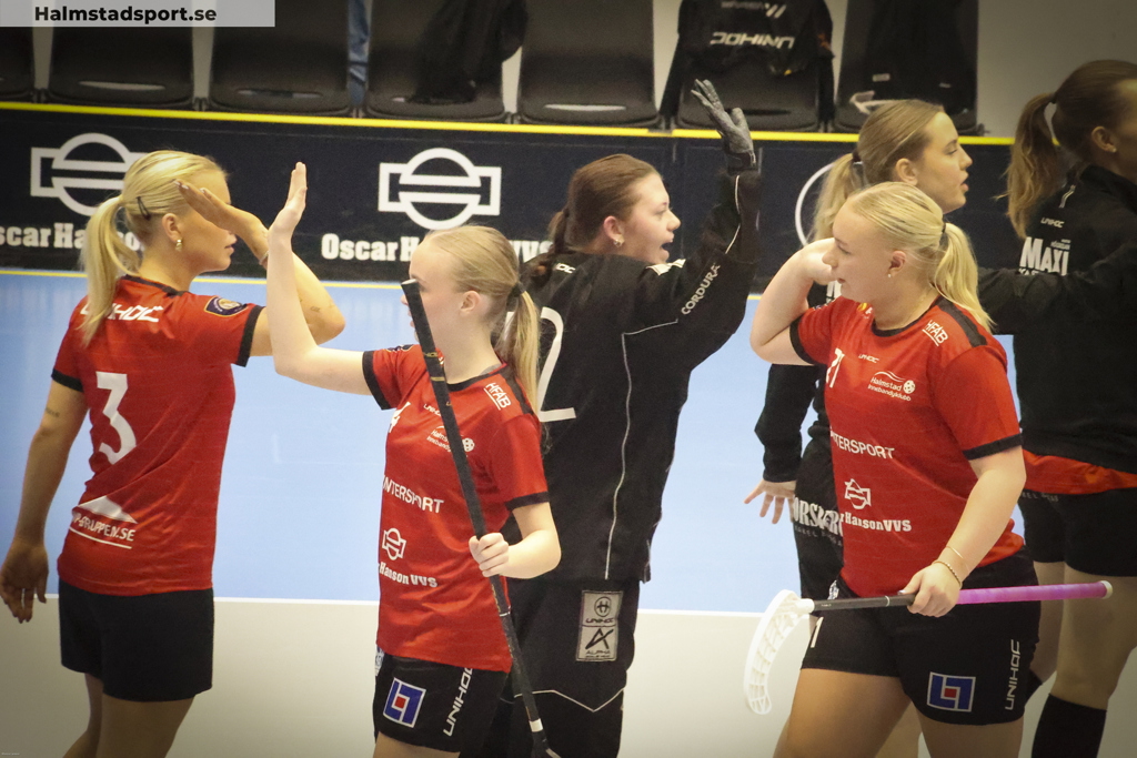 Vilken säsong damlaget har levererat!