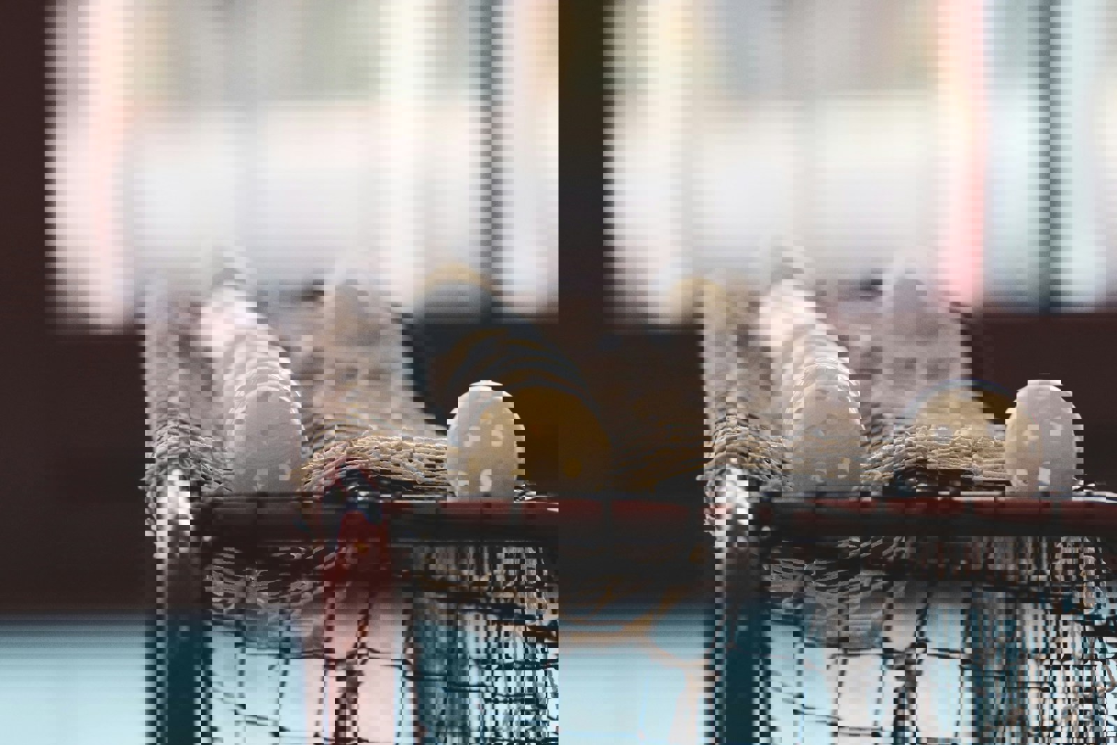 Upptäck glädjen med motionsinnebandy - Gemenskap, glädje och rörelse – allt i ett!